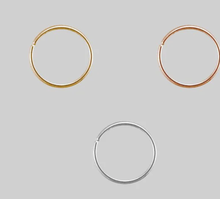 The Fine Nose Ring